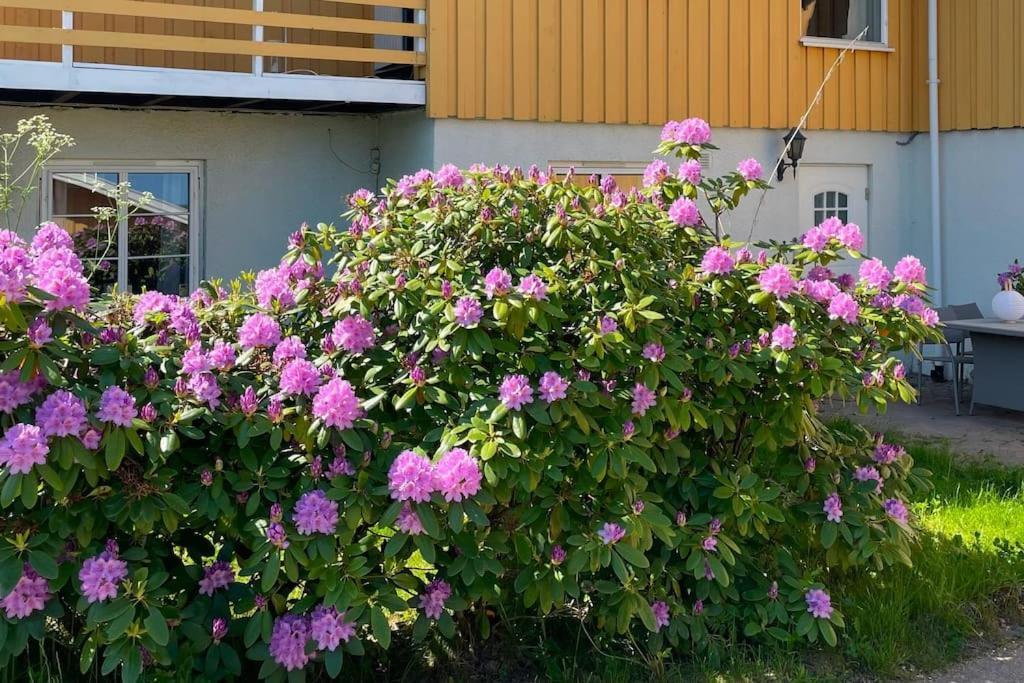 Cosy And Well-Equipped Apartment With Free Parking トロンハイム エクステリア 写真
