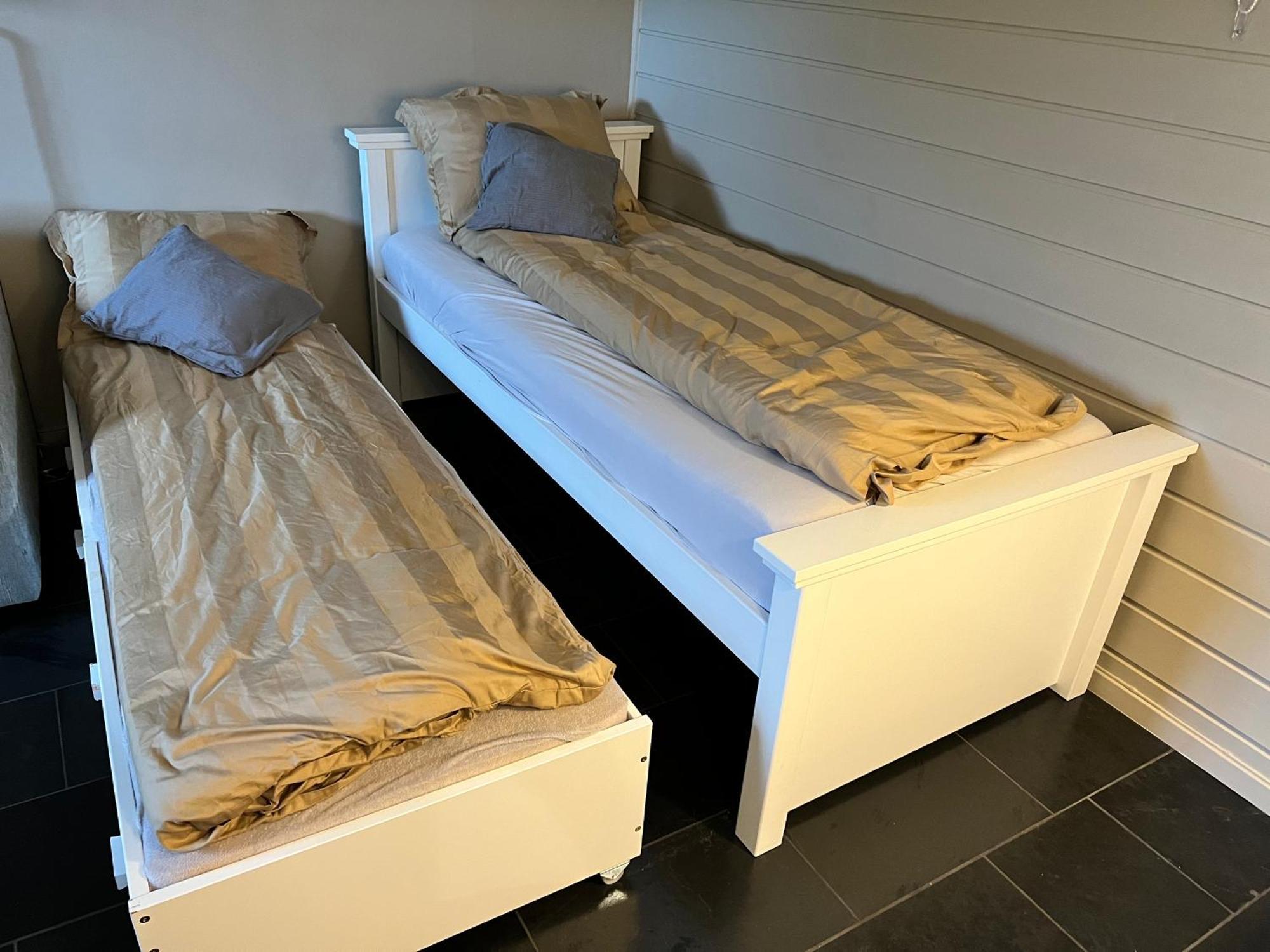 Cosy And Well-Equipped Apartment With Free Parking トロンハイム エクステリア 写真