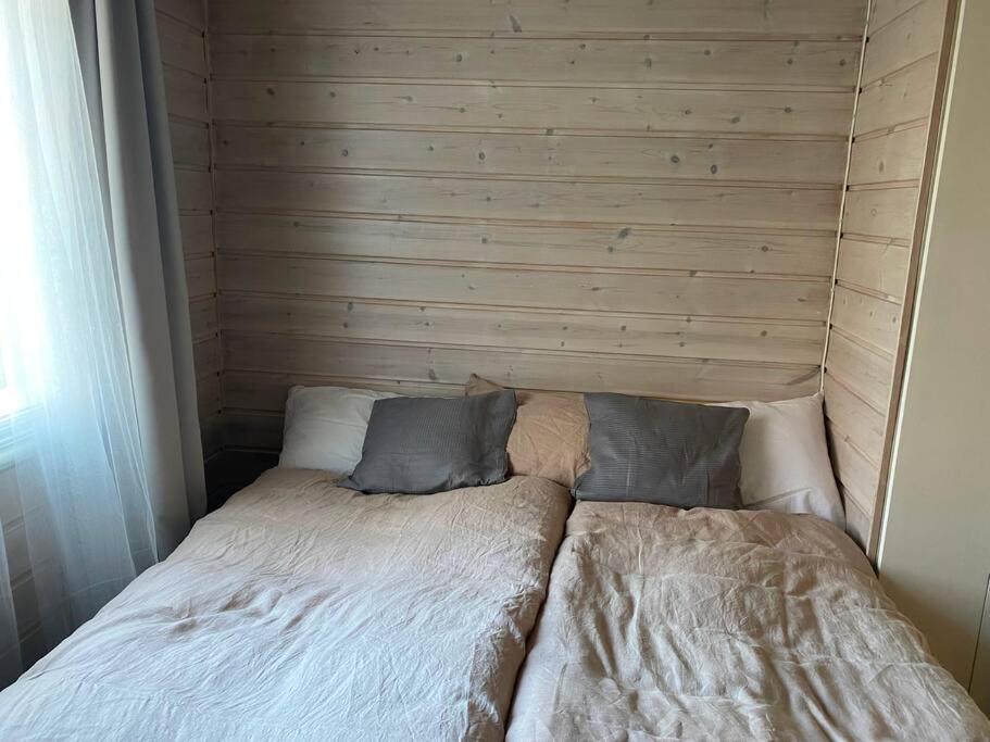Cosy And Well-Equipped Apartment With Free Parking トロンハイム エクステリア 写真